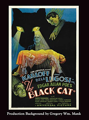 9781593938444: The Black Cat (hardback)