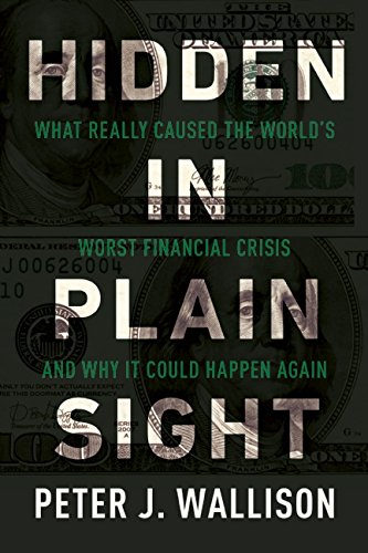 Imagen de archivo de Hidden in Plain Sight : What Really Caused the World's Worst Financial Crisis and Why It Could Happen Again a la venta por Better World Books