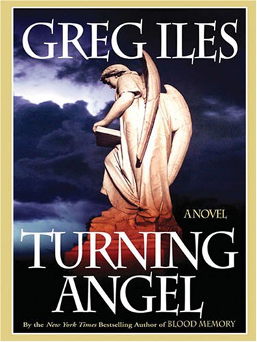 Beispielbild fr Turning Angel zum Verkauf von Ergodebooks