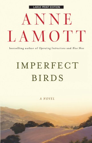 Beispielbild fr Imperfect Birds zum Verkauf von Better World Books