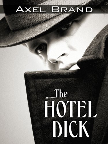 Stock image for The Hotel Dick for sale by Better World Books