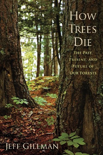 Stock image for How Trees Die : The Past, Present, and Future of Our Forests for sale by Better World Books