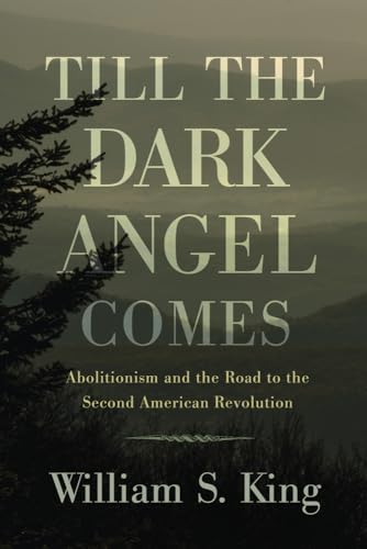 9781594162381: Till the Dark Angel Comes: Abolitionism and the Road to the Second American Revolution