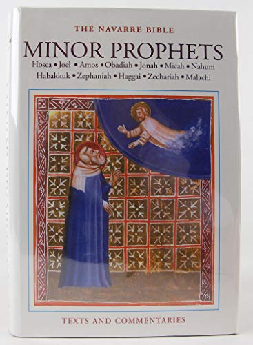 Stock image for The Navarre Bible: Minor Prophets for sale by The Bookseller