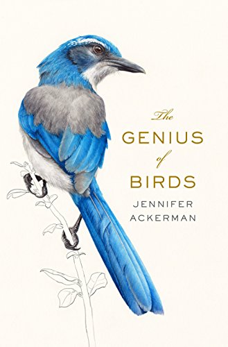 Stock image for The Genius of Birds for sale by SecondSale