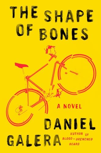 Stock image for The Shape of Bones: A Novel for sale by More Than Words