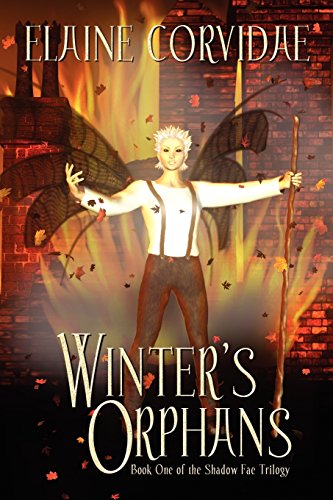 9781594261244: Winter's Orphans (The Shadow Fae Trilogy)