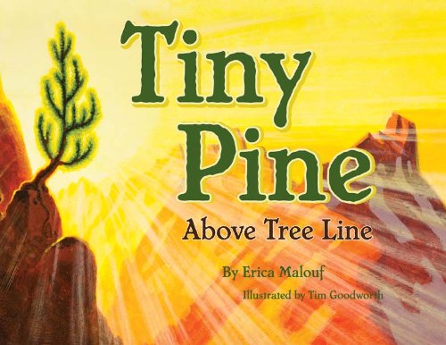 9781594334436: Tiny Pine Above Tree Line: Above Tree Line