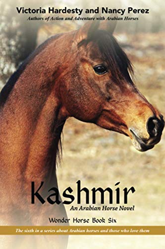 Beispielbild fr Kashmir: An Arabian Horse Novel (Wonder Horse Book Six) zum Verkauf von Books From California