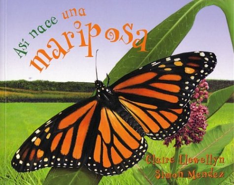AsÃ­ nace una mariposa (Starting Life Butterfly) (AsÃ­ nace/ Starting Life) (Spanish Edition) (9781594377884) by Llewellyn, Claire