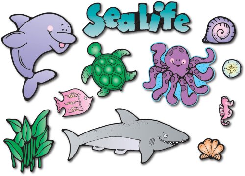 9781594419997: Sea Life Bulletin Board Set