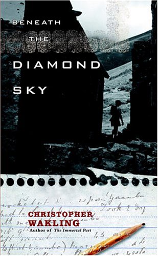 Stock image for Beneath the Diamond Sky for sale by Books End Bookshop