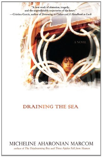 Stock image for Draining the Sea for sale by HPB Inc.