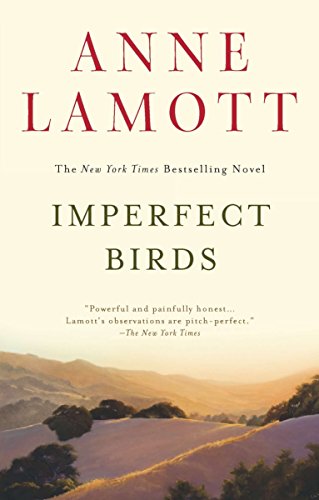 9781594485046: Imperfect Birds: A Novel