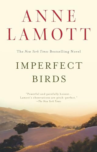 Imagen de archivo de Imperfect Birds: A Novel a la venta por BookHolders