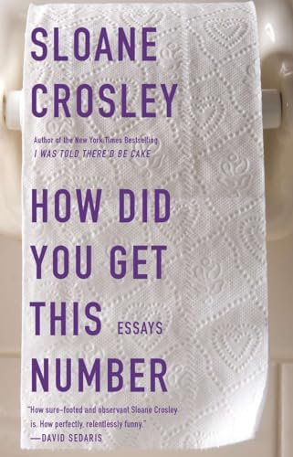 Stock image for How Did You Get This Number for sale by Gulf Coast Books