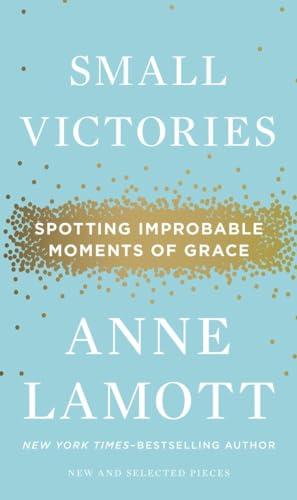 Beispielbild fr Small Victories : Spotting Improbable Moments of Grace zum Verkauf von Better World Books