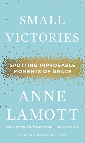 Stock image for Small Victories: Spotting Improbable Moments of Grace for sale by SecondSale