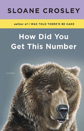 Stock image for How Did You Get This Number for sale by Gulf Coast Books