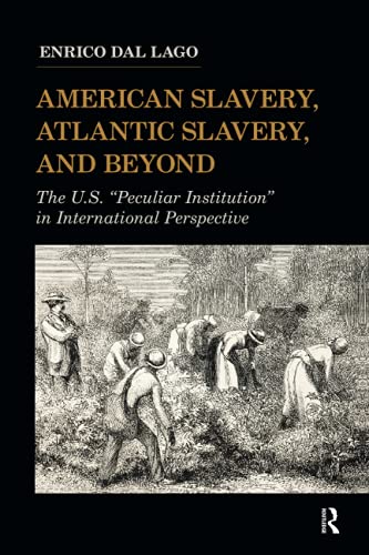 Stock image for American Slavery, Atlantic Slavery, and Beyond: The U.S. "Peculiar Institution" in International Perspective (United States in the World) for sale by Chiron Media