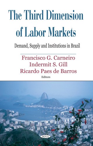 Beispielbild fr Third Dimension of Labor Markets (Hardcover) zum Verkauf von CitiRetail