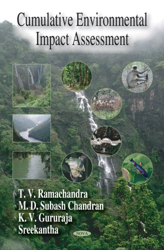 Imagen de archivo de Cumulative Environmental Impact Assessment a la venta por Kennys Bookstore