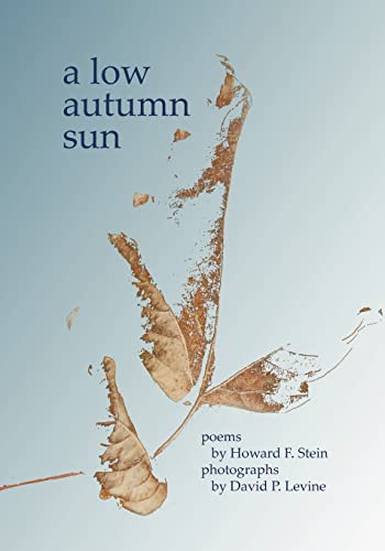 A Low Autumn Sun (9781594571190) by Levine, David P.; Stein, Howard