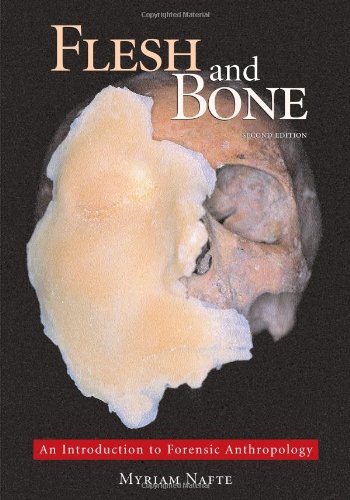 Stock image for Flesh and Bone: An Introduction to Forensic Anthropology for sale by Ergodebooks