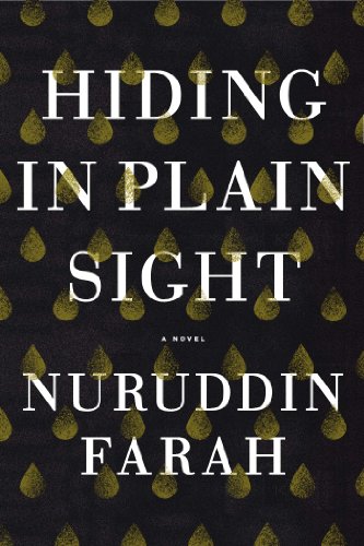 Beispielbild fr Hiding in Plain Sight: A Novel zum Verkauf von More Than Words