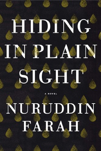 9781594633362: Hiding in Plain Sight: A Novel