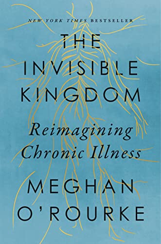 Imagen de archivo de The Invisible Kingdom: Reimagining Chronic Illness a la venta por SecondSale