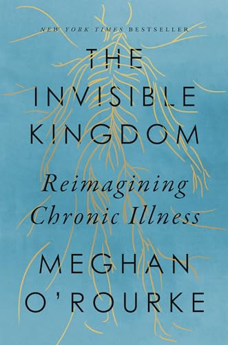 Stock image for The Invisible Kingdom: Reimagining Chronic Illness for sale by Goodwill Books
