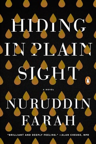 Imagen de archivo de Hiding in Plain Sight: A Novel a la venta por Wonder Book