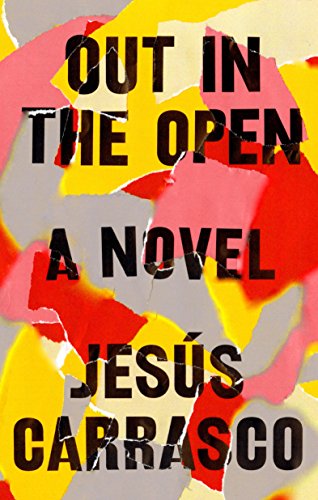 Imagen de archivo de Out in the Open: A Novel a la venta por Powell's Bookstores Chicago, ABAA