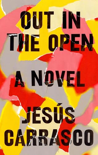 9781594634369: Out in the Open: A Novel