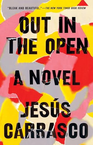 Beispielbild fr Out in the Open: A Novel zum Verkauf von Isle of Books
