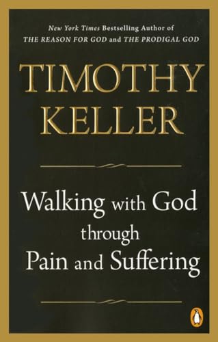 Stock image for Walking with God through Pain and Suffering for sale by ISD LLC