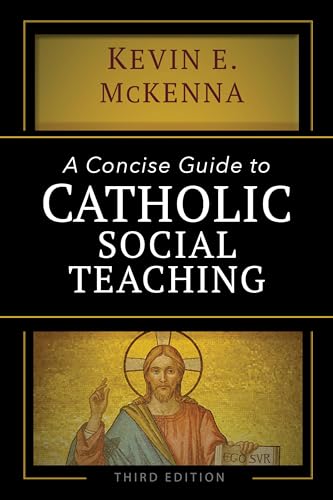 9781594718113: A Concise Guide to Catholic Social Teaching