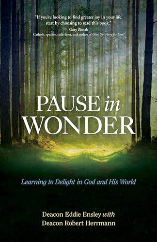 Beispielbild fr Pause in Wonder : Learning to Delight in God and His World zum Verkauf von Better World Books