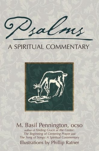 Imagen de archivo de The Psalms: A Spiritual Commentary a la venta por HALCYON BOOKS