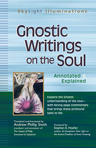 9781594732201: Gnostic Writings on the Soul: Annotated & Explained (SkyLight Illuminations)
