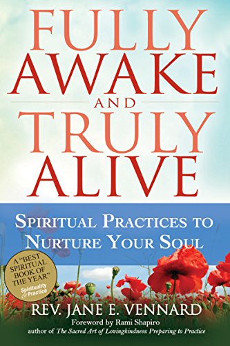 Stock image for Fully Awake and Truly Alive: Spiritual Practices To Nurture Your Soul for sale by Jenson Books Inc