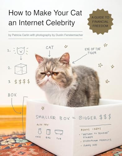 Stock image for How to Make Your Cat an Internet Celebrity: A Guide to Financial Freedom for sale by Gulf Coast Books