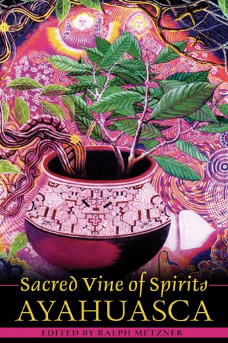 Stock image for Sacred Vine of Spirits: Ayahuasca for sale by Hafa Adai Books