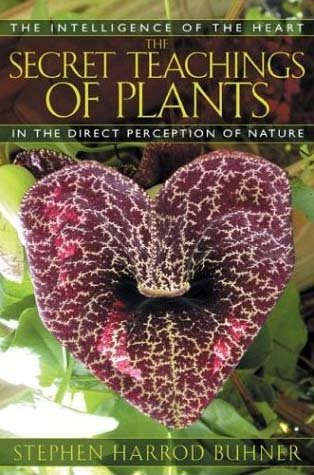 Stock image for Secret Teachings Of Plants for sale by dsmbooks