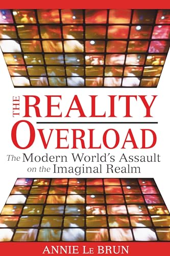 Imagen de archivo de The Reality Overload: The Modern Worlds Assault on the Imaginal Realm a la venta por Goodwill Books