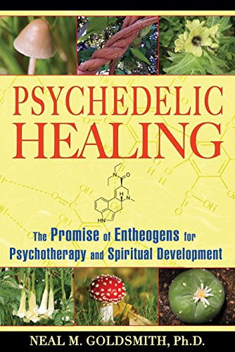 Imagen de archivo de Psychedelic Healing: The Promise of Entheogens for Psychotherapy and Spiritual Development a la venta por Bookmans