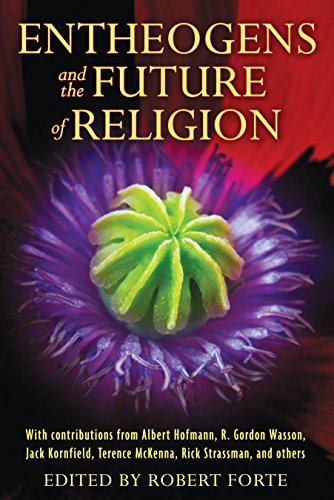Stock image for Entheogens and the Future of Religion for sale by KuleliBooks