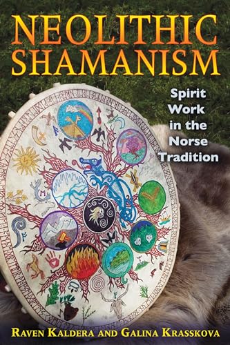 Stock image for Neolithic Shamanism: Spirit Work in the Norse Tradition for sale by New Legacy Books