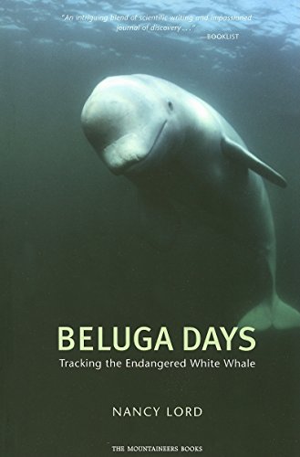 Stock image for Beluga Days : Tracking the Endangered White Whale for sale by Better World Books